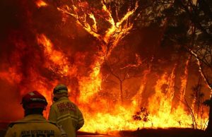 洪水泛濫過後 新州消防局呼籲小心山火隨後而來