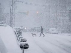 暴風雪席捲美加多個城巿 學校停課航班取消公路封閉 料3000萬人受影響