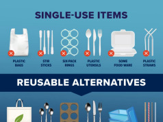 加拿大實行全面「禁膠令」 料10年減130萬噸塑膠垃圾