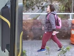 (有片)追巴士失敗 將軍澳婦拎石頭砸車門 網民斥冇戴口罩:乖乖地自首