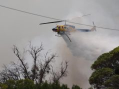 【緊急警報】珀斯南部叢林大火 當局呼籲:居民馬上疏散