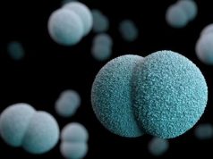 澳洲腦膜炎球菌個案急升 未接種疫苗幼兒及多群體活動青少年高危