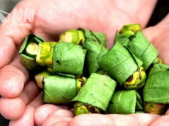 澳洲興起檳榔熱 工人愛它提神醒腦 專家:可致癌