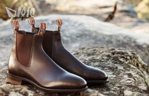 悉尼議會爭議 議員動議禁用袋鼠皮革及皮䓍惹熱議