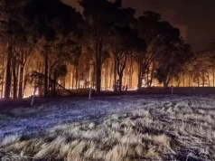 珀斯山火 火勢迅速蔓延 緊急設立疏散中心