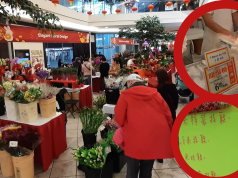 溫哥華花市懷舊味濃 移加港人認為價錢太貴