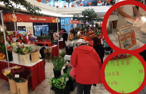 溫哥華花市懷舊味濃 移加港人認為價錢太貴