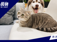 新州工黨建議簡化租戶飼養寵物規則