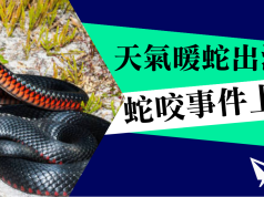 天氣溫暖蛇出洞 新州暑假期間蛇咬事件上升