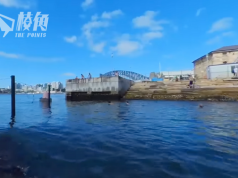 Marrinawi Cove 悉尼第一個城市海灘 近看悉尼海港大橋