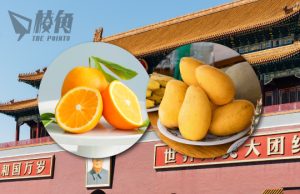 澳中貿易關係再解凍 中國公布新一批准入口果園清單 柑橘芒果可送中