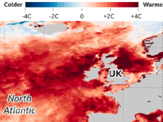 科學家警告「史無前例」海洋熱浪將威脅英國海岸 東南部月底實施限水令