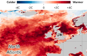 科學家警告「史無前例」海洋熱浪將威脅英國海岸 東南部月底實施限水令