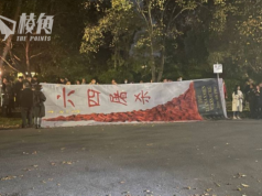 澳洲各城市舉辦悼念六四34周年活動 同時紀念反送中4周年