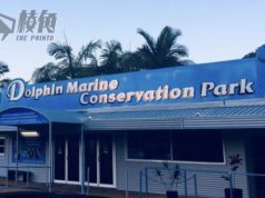 澳洲歷史最悠久海豚保育公園破產 籲捐款援助園中瀕危動物