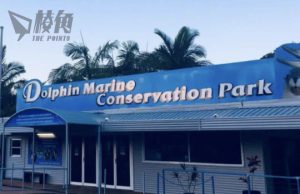 澳洲歷史最悠久海豚保育公園破產 籲捐款援助園中瀕危動物