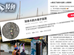 中國人自認韭菜呻移加悲歌 稱遭溫哥華中介呃12萬加元 欲跳樓獲退4萬 擬轉曼省「咬牙也要走下去」