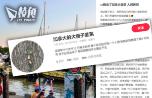 中國人自認韭菜呻移加悲歌 稱遭溫哥華中介呃12萬加元 欲跳樓獲退4萬 擬轉曼省「咬牙也要走下去」