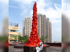 傳遭港府通緝兼計畫送中 高志活去信特區政府求證