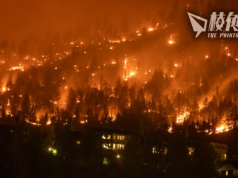 卑詩山火面積一夜擴百倍 基隆那奧肯那根緊急狀態 房屋燒毀 千計市民須疏散