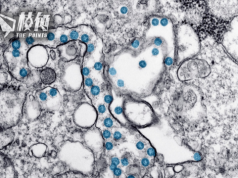 新冠新變種EG.5漸肆虐英美 加國料難倖免 專家:可能8月或9月開始看到訊號