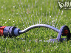 大溫持續乾旱用水量高企 8.4起實施第2階段限水 禁所有草坪灑水 料限制至10月中旬