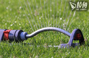 大溫持續乾旱用水量高企 8.4起實施第2階段限水 禁所有草坪灑水 料限制至10月中旬