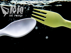 英格蘭禁止使用即棄塑膠餐具 十月一日起生效