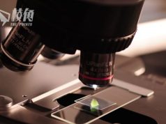 英國重新加入歐盟「地平線」科研計劃