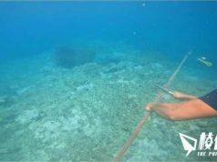 菲律賓南海拆除中國海警浮動屏障