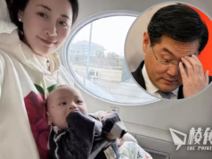 秦剛情婦身份曝光 鳳凰衛視前女主播傅曉田 美國找代孕產子 微博屢暗示關係