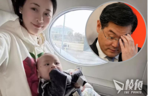 秦剛情婦身份曝光 鳳凰衛視前女主播傅曉田 美國找代孕產子 微博屢暗示關係