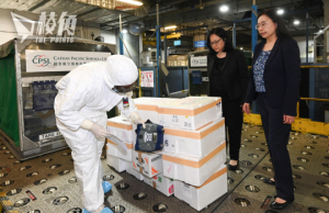 日本食品入口商斥清關慢憂水產變壞 食安中心反指貨量多平常60% 稱與輻射檢測無關