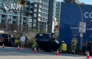 近半加人嘆司機駕駛水平變差 33%矛頭指向青年21%老年 特定群體中亞裔佔16%移民12%