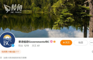 卑詩省政府開官方微博 被轟漠視中共政治干預加國 「向華人發錯誤訊息 惹送羊入虎口風險」