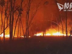 昆士蘭山火 煙霧濃罩布里斯本 當局籲患呼吸道病者緊鎖門窗留在室內