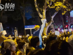 有片│紀念白紙革命1周年 抗爭者製紀錄片斥中共暴政 轟政府卸責境外勢力 肆意抹黑