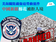 美國海關嚴格阻截中國強迫勞動組件入境 包括新疆棉花 微晶片