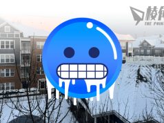 美國長假期風雪中渡過 八成地區氣溫跌至零下