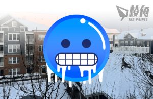 美國長假期風雪中渡過 八成地區氣溫跌至零下