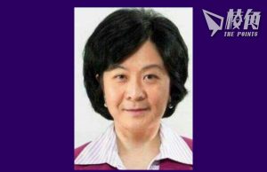 23條立法|梁振英葉劉唱雙簧 不忿條例被誤解 籲加強外資遊說