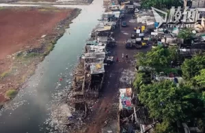 【皮毛小知識】極度危險但已無處不在的化學物質 #曲 (繁中字幕)