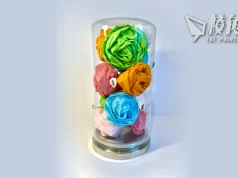 【藝言】藝術無價?- 黃美玉