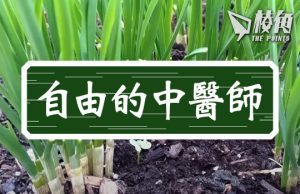 【自由的中醫師】韭菜的食用價值及副作用