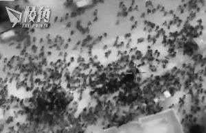 哈馬斯指以軍射擊領糧平民致百死 以:混亂中踩踏所致 聯合國介入調查