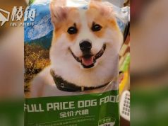 BBC:致命毒品被混入狗糧 從中國走私到英國