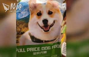 BBC:致命毒品被混入狗糧 從中國走私到英國