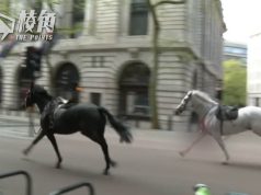 四馬倫敦市中心失控奔馳 兩馬傷勢嚴重 已接受手術