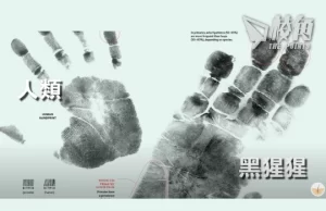 【皮毛小知識】指紋的真正用途?指紋類型、獨一無二的原因 (繁中字幕)