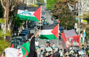 挪威愛爾蘭西班牙將承認巴勒斯坦 以色列召回大使